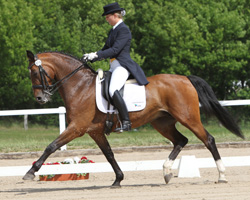 Anne Blank aus Gelbensande, die mit Pik Dame L für den Reitverein Rostocker Heide reitet, gewann beim Sommerturnier in Zierow die S-Dressur S3, die M-Dressur M5 und sie wurde in der M8 und M10 jeweils Zweite. Foto: Jutta Wego Anne Blank aus Gelbensande, die mit Pik Dame L für den Reitverein Rostocker Heide reitet, gewann beim Sommerturnier in Zierow die S-Dressur S3, die M-Dressur M5 und sie wurde in der M8 und M10 jeweils Zweite. Foto: Jutta Wego